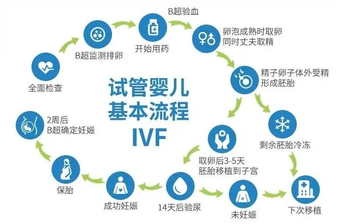试管婴儿的全部流程