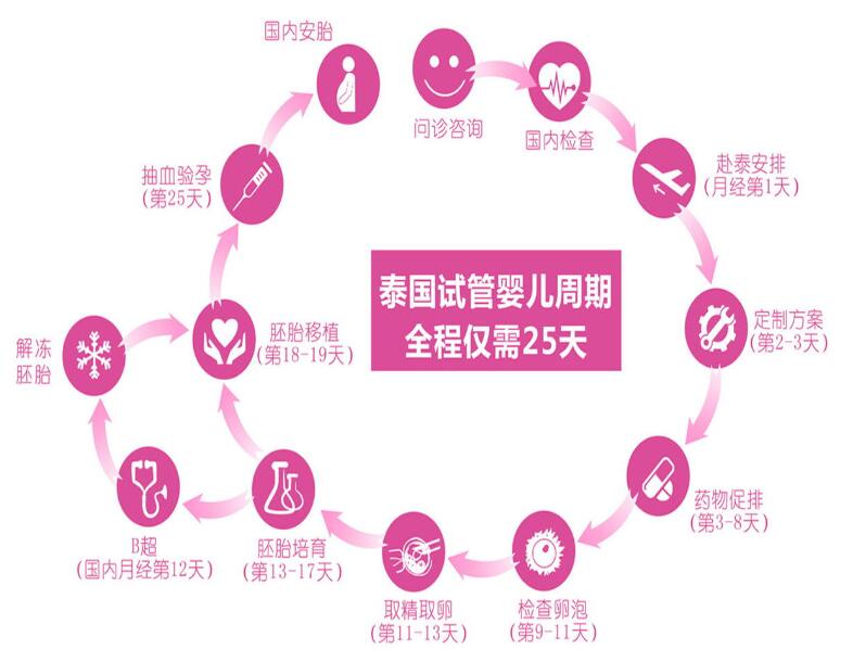 泰国试管婴儿流程（泰国试管婴儿详细流程介绍）