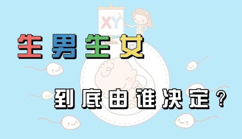 生男生女由谁决定