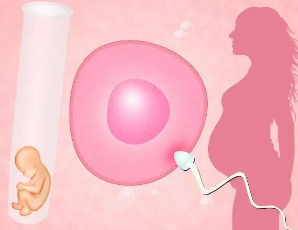 全方位解读试管婴儿流程详细介绍