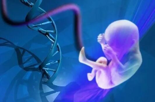 新加坡哪家试管医院最好？新加坡试管婴儿多少钱？
