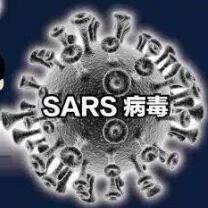 重症急性呼吸综合征