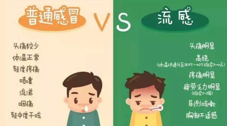 流感的主要症状有哪些?