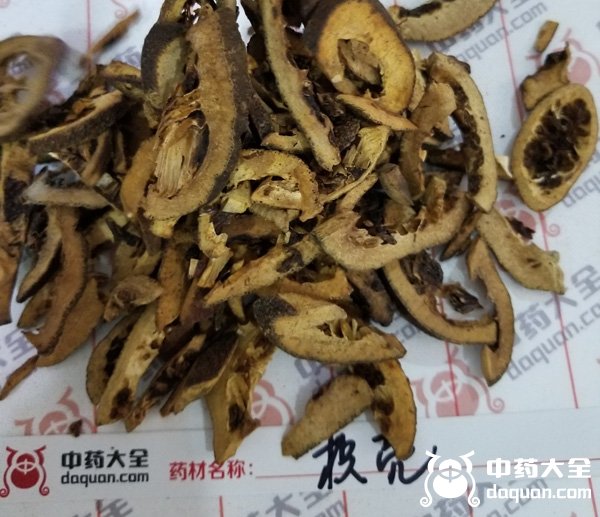 枳壳