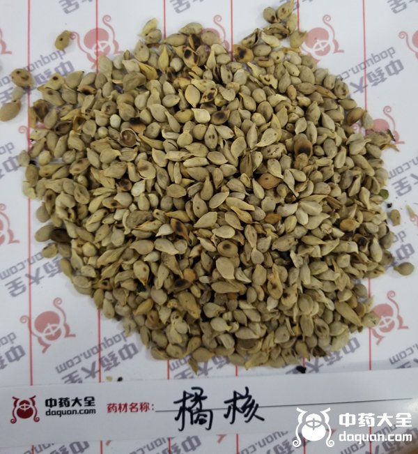 橘核