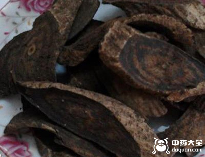 黑皮跌打