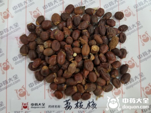 荔枝核
