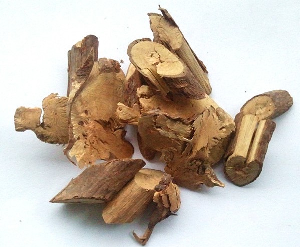 高粱泡根