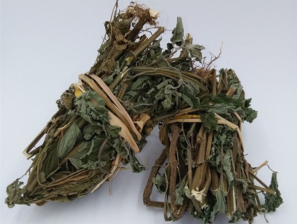 防风草