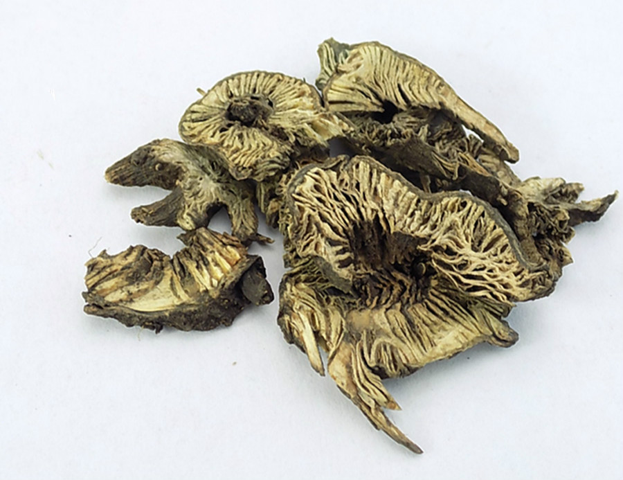 白升麻