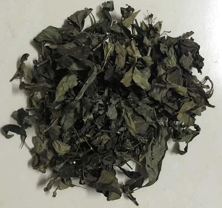 白鹤灵芝