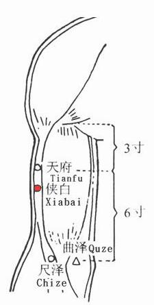 侠白穴