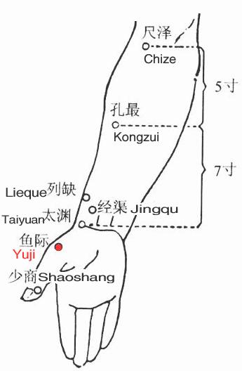 鱼际穴