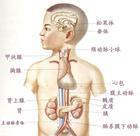 先天性肾上腺皮质增生症