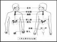 内分泌失调