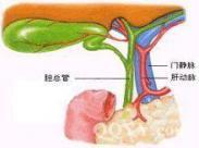 胆道运动功能障碍 胆道运动功能障碍
