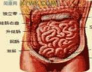 网膜扭转