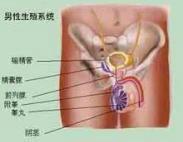 非特异性尿道炎 非特异性尿道炎