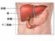 小儿急性胆囊炎