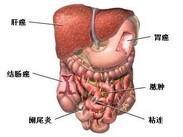 小儿慢性胰腺炎