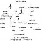 I型肾小管性酸中毒 I型肾小管性酸中毒