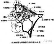 海绵窦血栓 海绵窦血栓