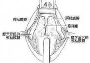 癔球症