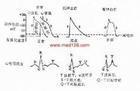 小儿醛固酮过多症 小儿醛固酮过多症