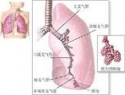 溃疡分枝杆菌感染