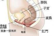 尿道黏膜脱垂