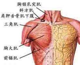 胸壁肿瘤 胸壁肿瘤