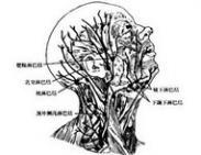 颈淋巴结结核